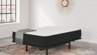 Limited Edition Firm Mattress