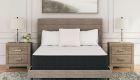 Limited Edition Plush Mattress