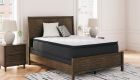 Limited Edition Pt Mattress