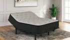 Palisades Firm Mattress