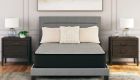Palisades Firm Mattress