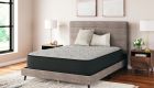 Palisades Plush Mattress