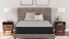 Palisades Plush Mattress