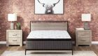 Ultra Luxury Et With Memory Foam Mattress