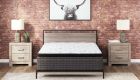 Ultra Luxury Pt With Latex Mattress