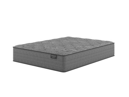 Midnight Medium Midnight Medium